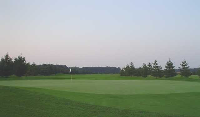 White Pines - photo 3