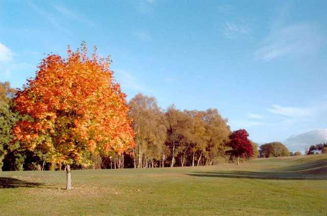 Edzell Golf Club - photo 5