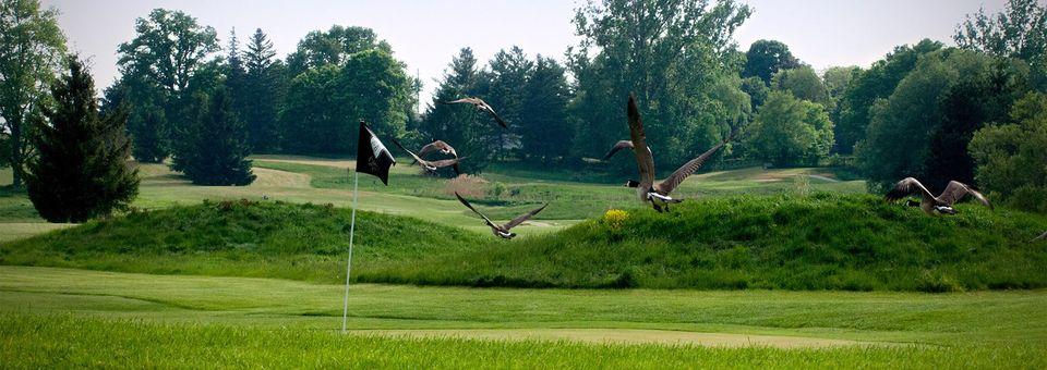 Dorchester Golf Club - photo 5