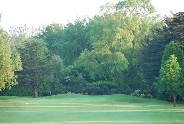 Limerick Golf Club - photo 3