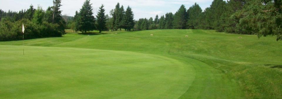 Clear Springs Golf Course - photo 4