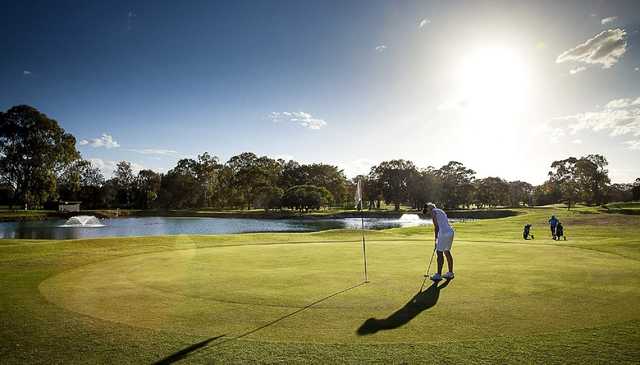 Wynnum Golf Club - photo 3