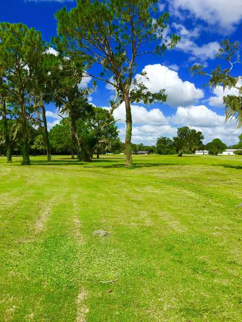 Zephyrhills City Golf Course - photo 3