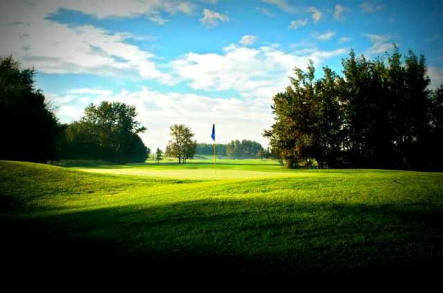 Cardiff Golf & Country Club - photo 3