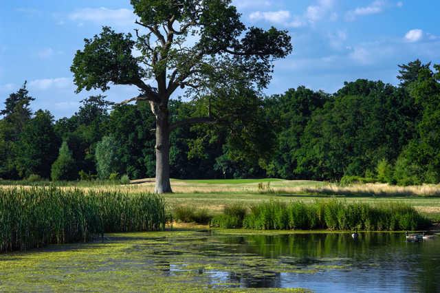 Sherfield Oaks Golf Club - Wellington Course - photo 3