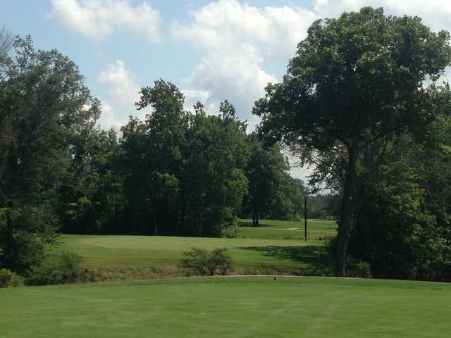 Meshingomesia Country Club - photo 1