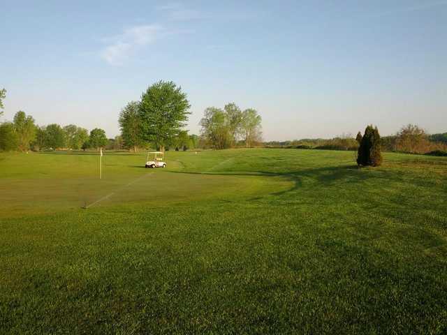 Deer View