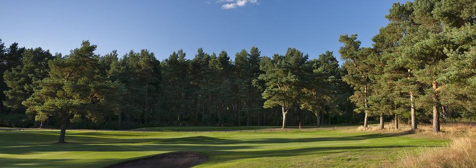 Ladybank Golf Club