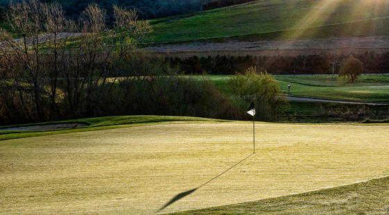 Empire Ranch Golf Club - photo 4