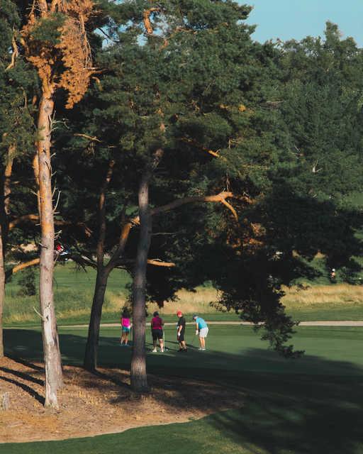 Alpine Golf Club - photo 7