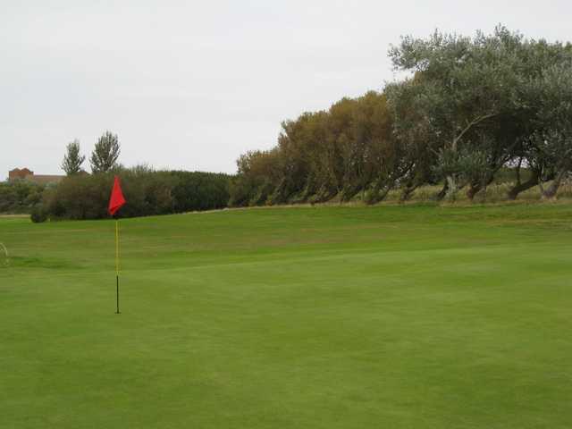 Maesdu Golf Club - photo 7