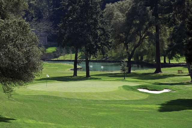 Meadowood Resort - photo 4
