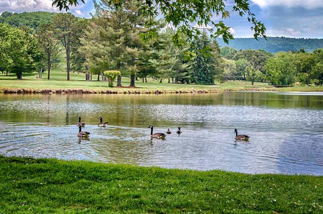 Etowah Valley Golf Club - photo 5