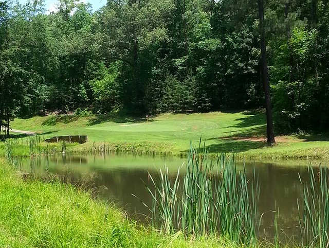 Shadow Ridge Golf Club - photo 3