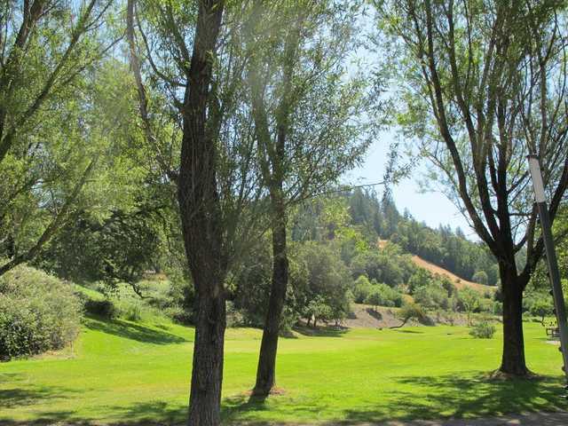 Benbow Valley Resort Country Club - photo 3