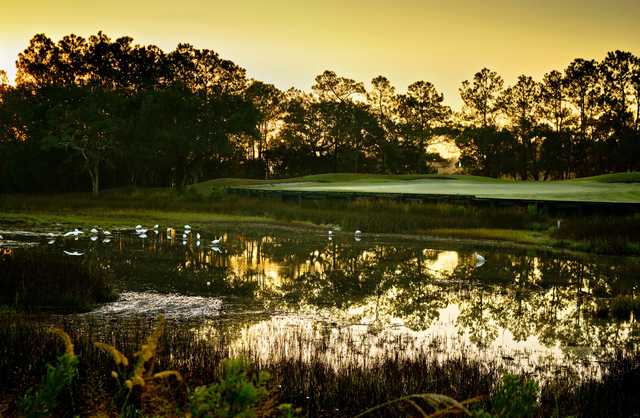 Charleston National - photo 4