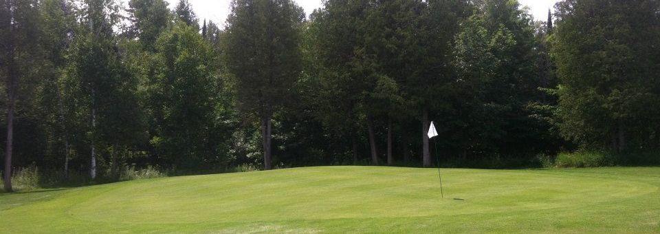Cedar Valley Golf Club - photo 4