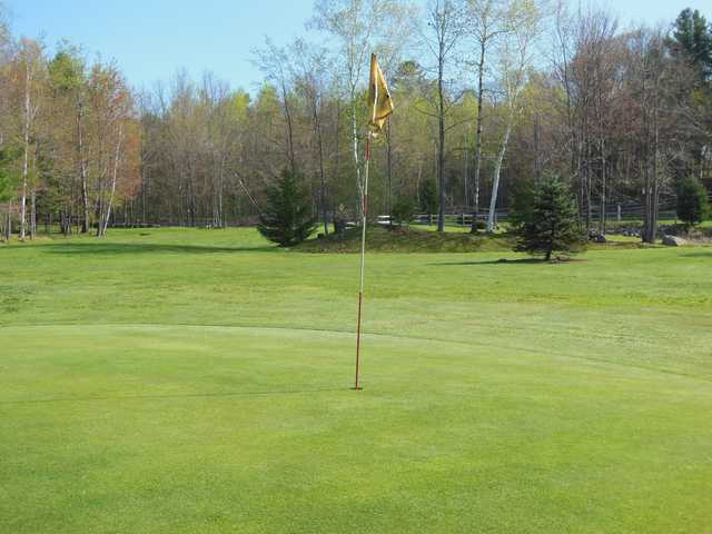 Bolduc Park Golf Course - photo 2