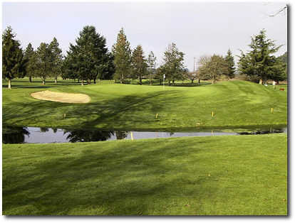 Emerald Valley Golf Course - photo 4