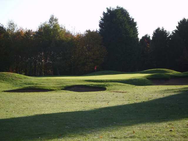 The West Berkshire Golf Club - photo 1