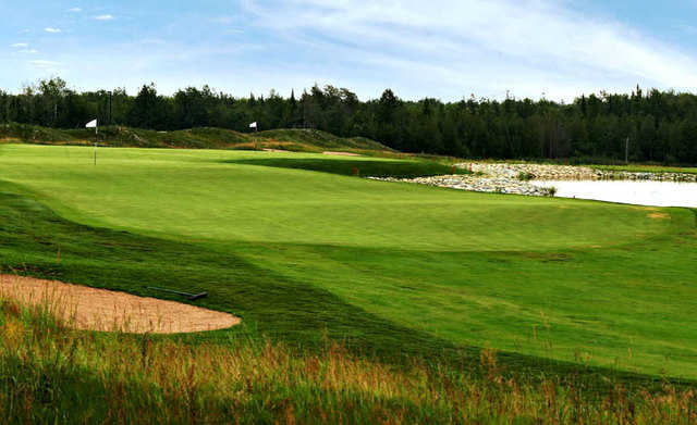 Sweetgrass - photo 4