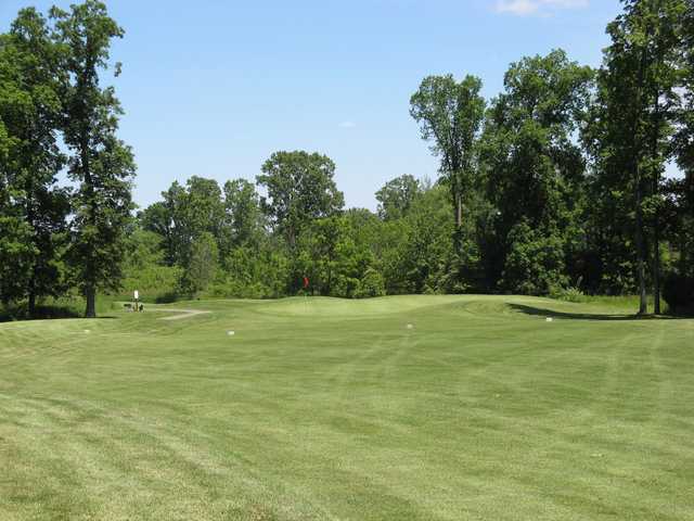 Pierce Lake Golf Course - photo 4