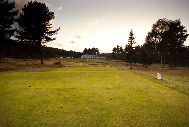 Sherwood Forest Golf Club - photo 2