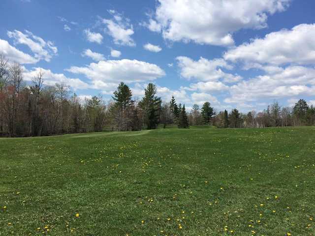 Norwood Acres, Inc. - photo 2