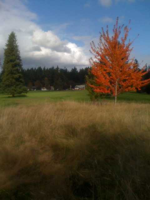 Brookdale Golf Club - photo 1