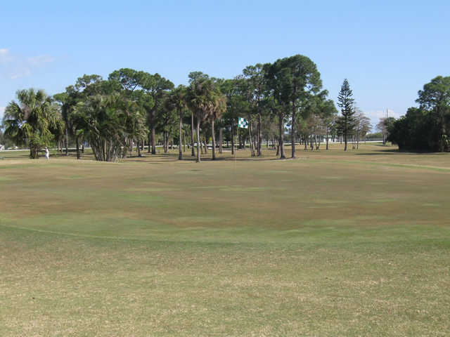 Lone Pine - photo 3