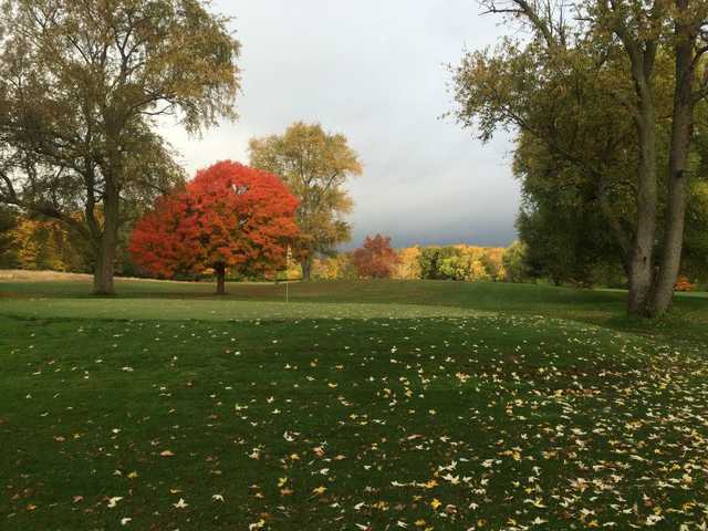 Limberlost Golf Club - photo 3