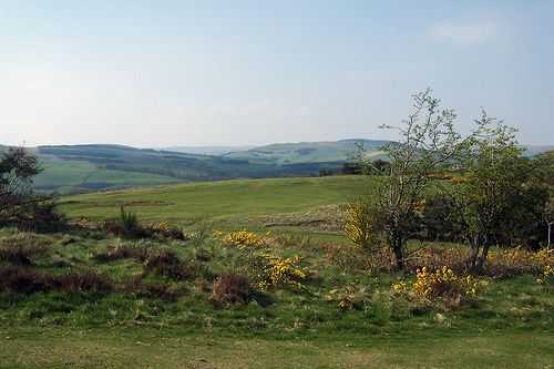 Selkirk Golf Club - photo 7