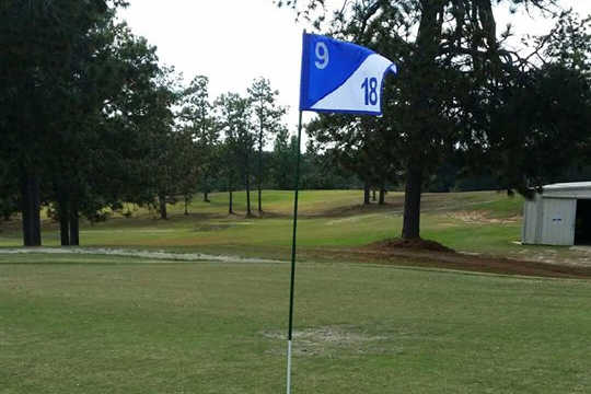 Leesville Municipal Golf Course - photo 3
