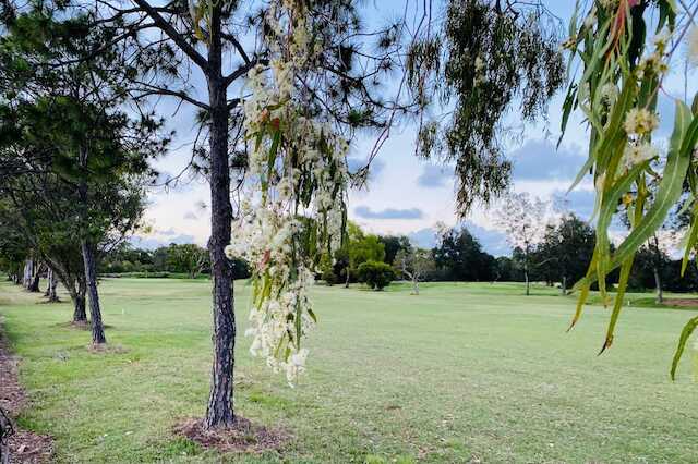 Sandgate Golf Club - photo 3