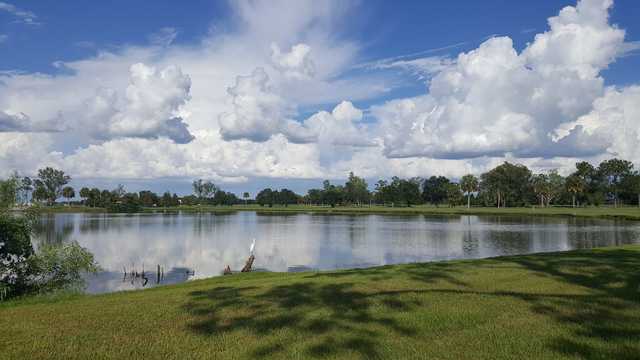Kissimmee - photo 2