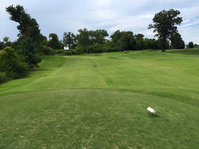 The Vinny Links at Shelby Park - photo 4