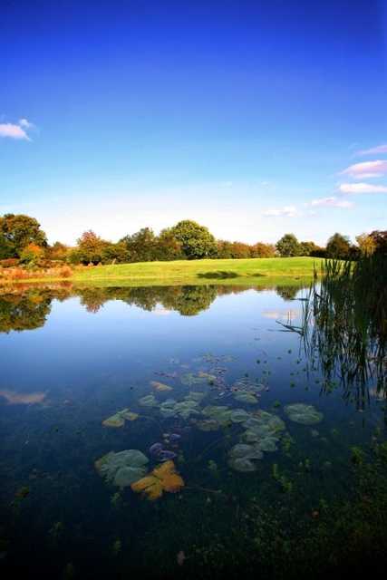 Oakland Park Golf Club - photo 3