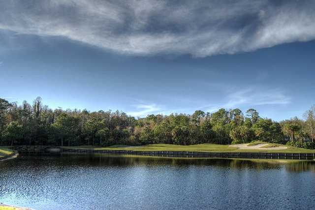Westchase Golf Club - photo 6