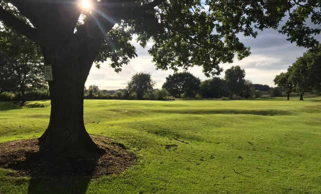 Avro Golf Club - photo 2