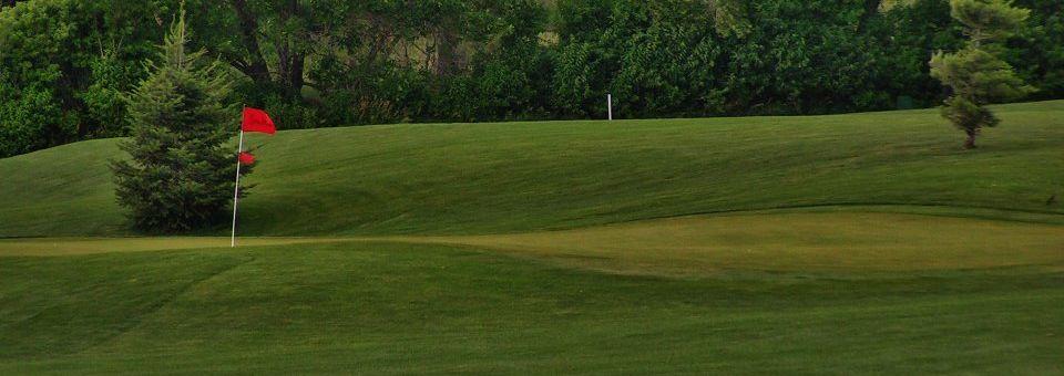 River Wilds Golf Club - photo 4