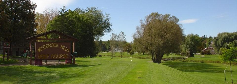 West Brook Hills Golf Course - photo 3