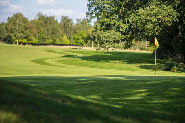 Bulbury Woods Golf Club - photo 7