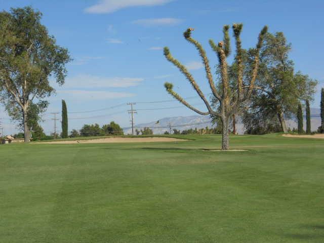 Apple Valley - photo 3