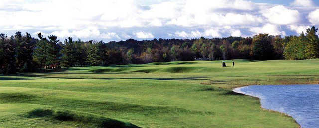 Stonebridge Golf Club - MI - photo 8
