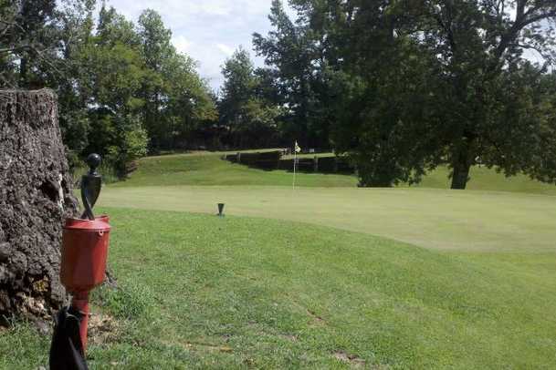 Egyptian Country Club - photo 3