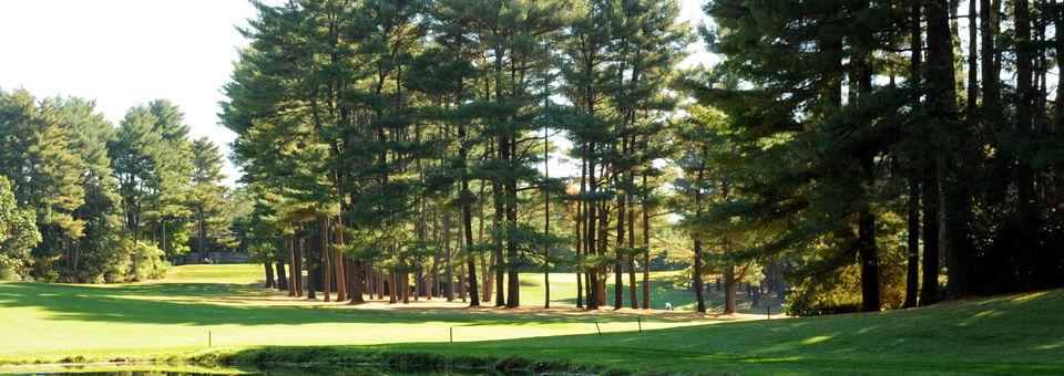 Needham Golf Club - photo 4