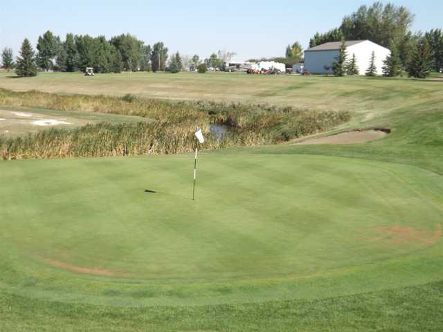Acme Golf Club - photo 3
