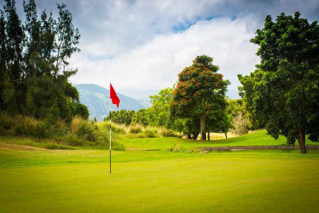 Makani Golf Club - photo 4