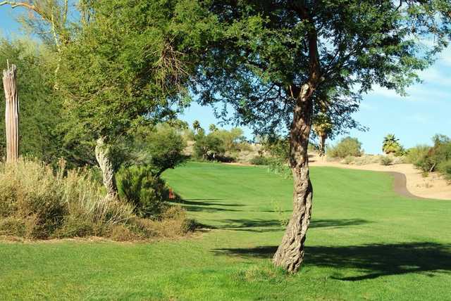 Desert Canyon Golf Club - photo 5