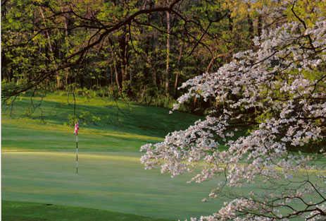 West Course - Gull Lake View Golf Club & Resort - photo 4